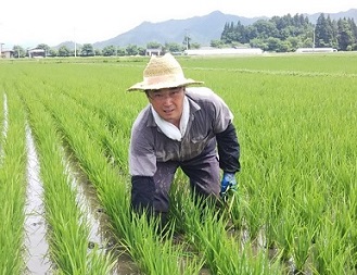 玄米 遠藤五一さんが作った Jas有機米 コシヒカリ ２ｋｇ ごはん彩々 全米販