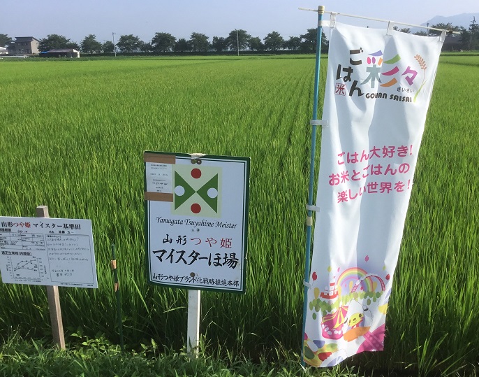 遠藤五一さん イネの花が咲きました 遠藤五一さんのお米ができるまで その６ ごはん彩々 全米販